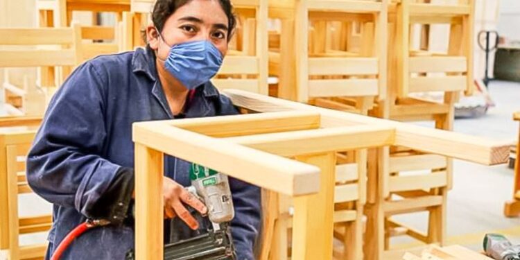 INEI: 16,1% de las mujeres que participan en la actividad económica tienen más de un empleo