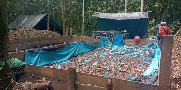 Violencia en la comunidad nativa Unipacuyacu tras anuncio de acciones para su titulación