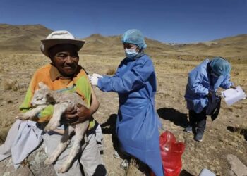 Heladas y friaje: el gobierno reduce en 47% el presupuesto para atender a los más pobres