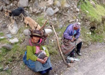 De la población adulta mayor, sólo el 35,0% está afiliado a un sistema de pensiones