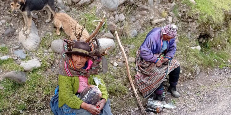 De la población adulta mayor, sólo el 35,0% está afiliado a un sistema de pensiones