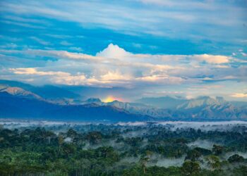 Codo del Pozuzo: nueva área de conservación regional que protegerá fuentes hídricas