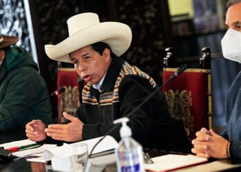 Las mentiras de la ignorancia