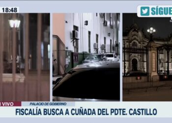 Pollitos en fuga: ese es el título de una banda de prófugos