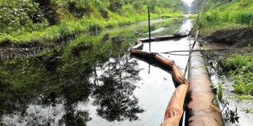 Derrames de petróleo: contaminación, impunidad y falta de protección de la tubería en la Amazonía de Perú