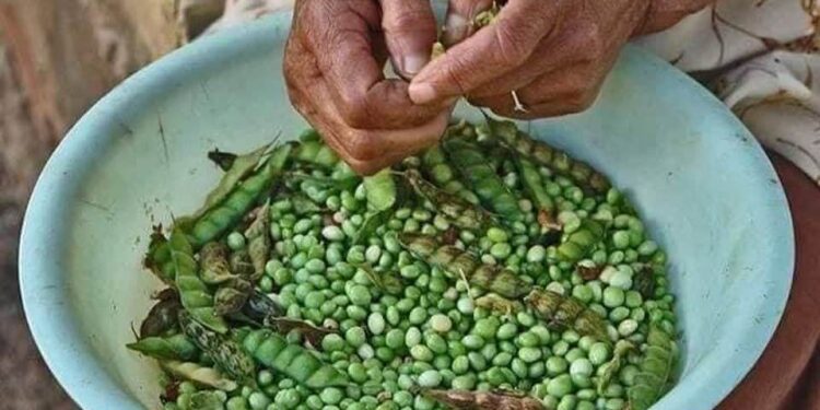 Inseguridad alimentaria: Perú, el peor país de la región