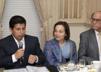 ¿Qué están haciendo el gobierno de la ultraizquierda y los caviares?