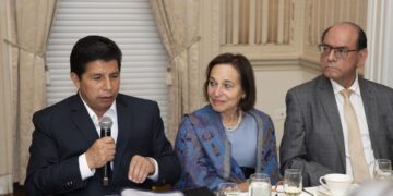 ¿Qué están haciendo el gobierno de la ultraizquierda y los caviares?