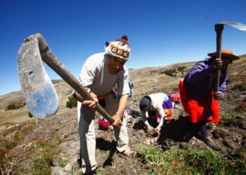 Pésima ejecución de presupuestos de inversión pública en agricultura