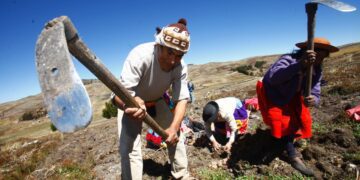 Pésima ejecución de presupuestos de inversión pública en agricultura