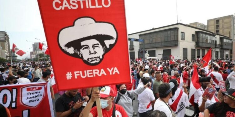 Castillo quiere aprovecharse de la mayoría izquierdista en la OEA para blanquear sus delitos