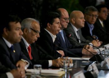 El odioso mundo de los voceros del gobierno peruano