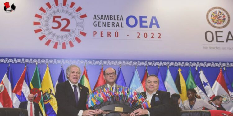 Las vendas y las indiferencias de la OEA