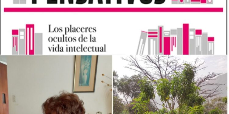 Pensativos: Los placeres ocultos de la vida intelectual