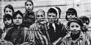 Mitchell Bard: Comparar a los israelíes con los nazis es una infamia