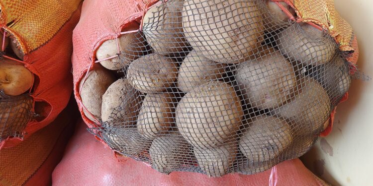 Índice de Precios al Consumidor de Lima Metropolitana de los últimos doce meses subió 8,53%