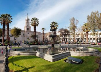 Se incrementa uso de cannabis medicinal: Arequipa