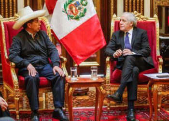 La OEA, un cuento de nunca acabar