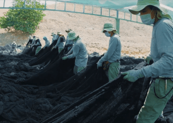 Entrega de las redes de pesca en desuso permite la fabricación de nuevos productos ecoamigables