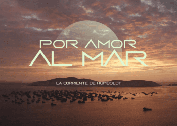 Contaminación y pesca ilegal: amenaza al escosistema marino peruano