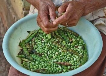 Pobreza multidimensional en el Perú: ¿ejecución, avance o estancamiento?