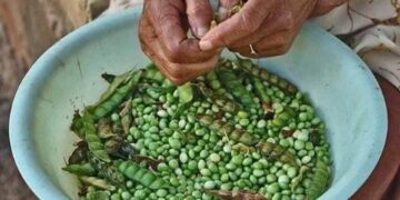 Pobreza multidimensional en el Perú: ¿ejecución, avance o estancamiento?