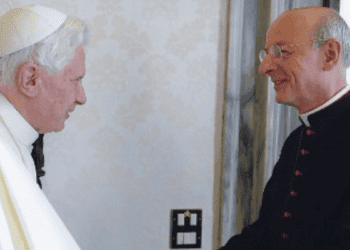 “Demos gracias a Dios por Benedicto XVI, un humilde trabajador de la viña del Señor”