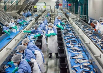 ComexPerú: ¿Cómo va la economía peruana y cuáles son las perspectivas al 2023?