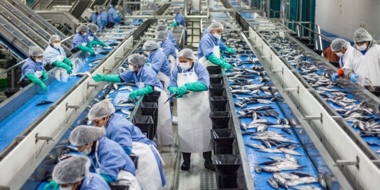 ComexPerú: ¿Cómo va la economía peruana y cuáles son las perspectivas al 2023?