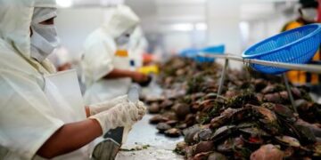 Acuicultura peruana: potencial y retos para su desarrollo