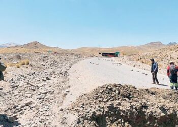 INEI: Volumen total exportado de bienes disminuyó en 16,0%