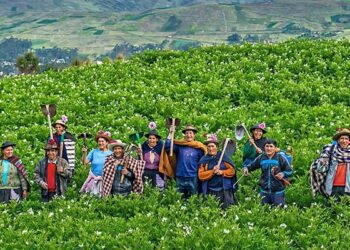 Productores agrarios: Requerimos de un shock de confianza y competitividad