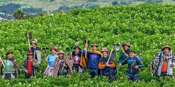 Productores agrarios: Requerimos de un shock de confianza y competitividad