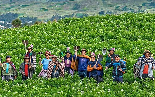 Productores agrarios: Requerimos de un shock de confianza y competitividad