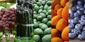 Exportaciones muestran un dinamismo creciente, pero se requiere seguridad