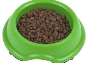 El bocado a los mastines: las horas finales de la izquierda