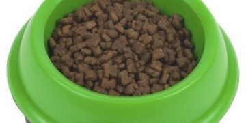 El bocado a los mastines: las horas finales de la izquierda