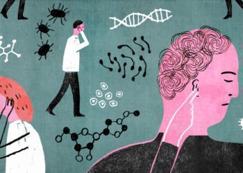 La ignorancia es atrevida