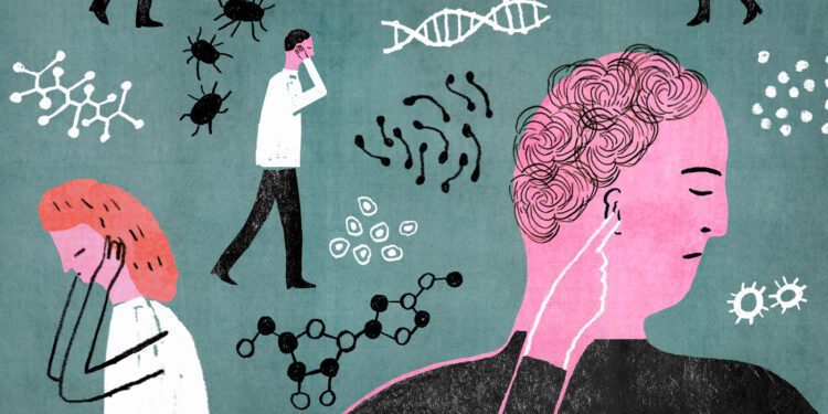 La ignorancia es atrevida