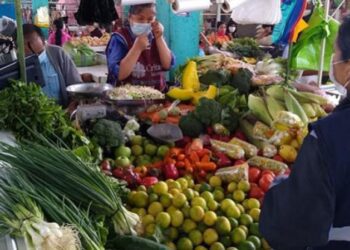 INEI dio a conocer que la variación anual del Índice de Precios al Consumidor de Lima Metropolitana aumentó 8,66%