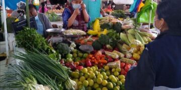 INEI dio a conocer que la variación anual del Índice de Precios al Consumidor de Lima Metropolitana aumentó 8,66%