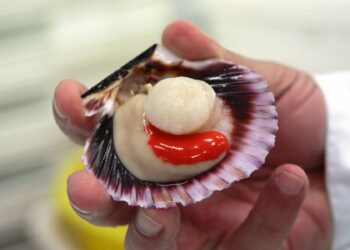 ComexPerú: una radiografía al sector acuícola