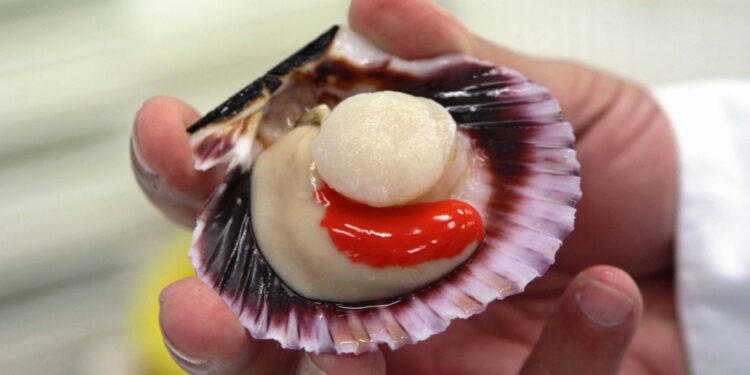 ComexPerú: una radiografía al sector acuícola