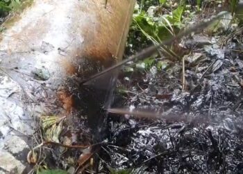 Siguen atentados subversivos contra el Oleoducto Nor Peruano