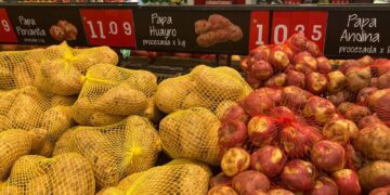 Precios… Las variaciones más altas se reportaron en Puerto Maldonado, Puno, Cusco, Tacna, Abancay