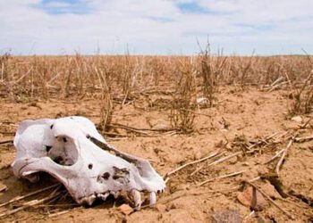Las izquierdas en ritmo de extinción