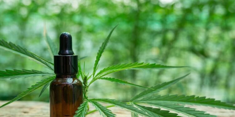 Futura Farms y Cann Farm se únen para comercializar productos derivados del cannabis