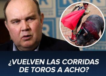 ¿Es necesario modernizar la oferta taurina de Acho en el siglo XXI?