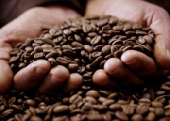 ComexPerú: exportaciones peruanas disminuyeron 11.1% en enero de 2023