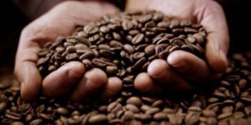 ComexPerú: exportaciones peruanas disminuyeron 11.1% en enero de 2023